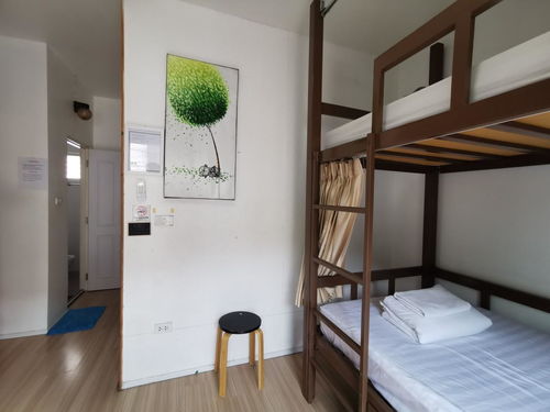 探索清邁新潮流 Bunk Boutique Hostel Chiang Mai雙層精品旅館，Agoda輕松訂房體驗
